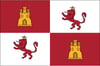 Bandera_de_Castilla_y_León_1492 (1)